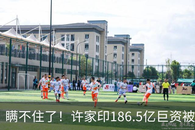 瞒不住了！许家印186.5亿巨资被挖出，没有转给丁玉梅，而是他